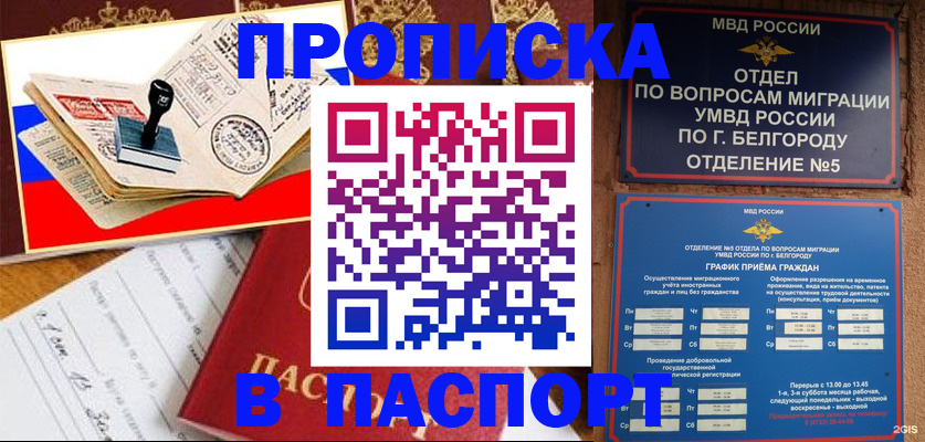 купить прописку в Кингисеппе
